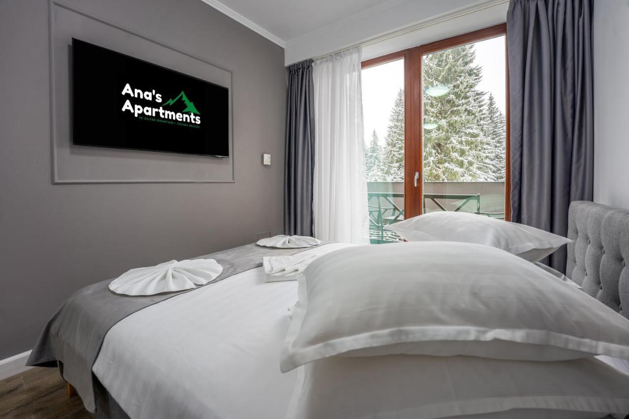 Silver Mountain - Ana'S Apartments Poiana Brasov Exteriör bild